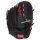 Rawlings Renegade 12" LHC