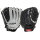 Baseballhandschuh Rawlings RSB 12"