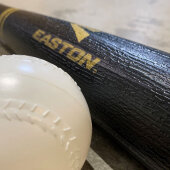 Easton Pro Stix 1000 Training Set