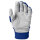 Batting Gloves Evoshield SRZ-1 (Royal)