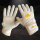 Batting Gloves C2 Pro-3 (White) M