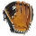 Rawlings Heart of the Hide ColorSync 6.0 11.5-Inch Infield Glove, Limited Edition