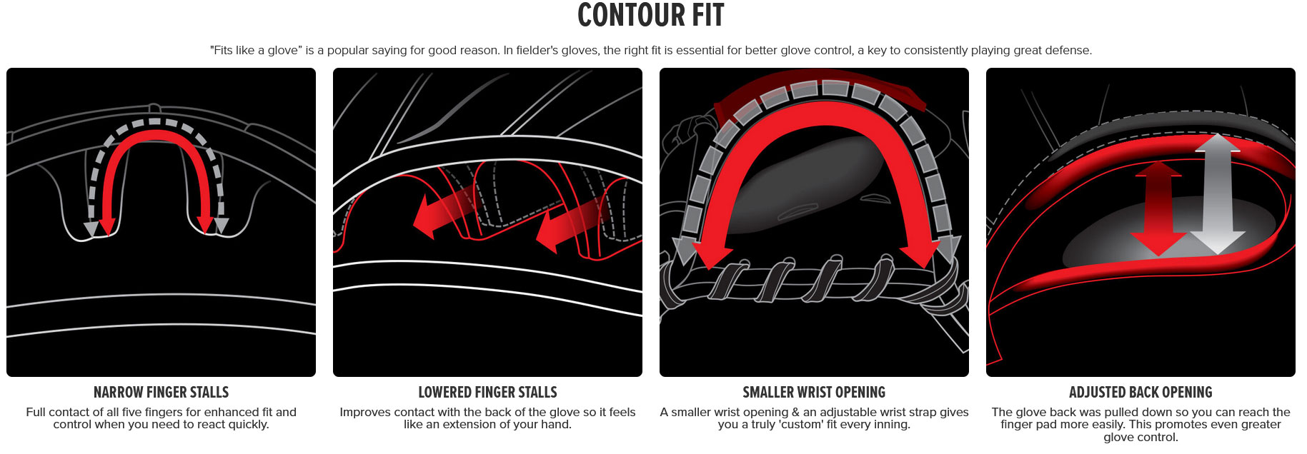 Rawlings Contour Fit